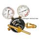 Model 896 Multistage reg, Vertical Inlet, 0-1500kpa,Hard hats. Type 20