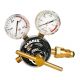 Model 896 Multistage reg, Vertical Inlet, 0-2500kpa, Hard Hats. Type 10.5