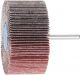 Mounted Flap Wheel Fan Grinder Aluminium Oxide - 6mm Shank F 8040/6 A 60 Grit