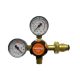 Model 601 pressure reg,0-1000kpa.