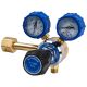 Regulator 1 Stage Side Entry Nitrogen Type 50 In 20,000kPa Out 1,000kPa
