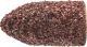 POLICAP Abrasive Cap Aluminium Oxide - G Shape PC 0511 G 80 Grit
