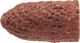 POLICAP Abrasive Cap Aluminium Oxide - G Shape PC 0511 G 280 Grit