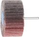 Mounted Flap Wheel Fan Grinder Aluminium Oxide - 6mm Shank F 8040/6 A 60 Grit